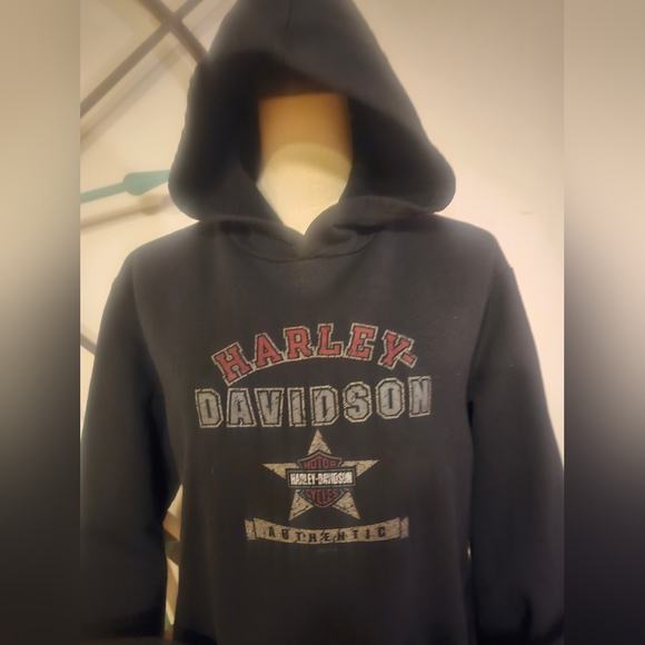 Harley-Davidson hoody - Picture 2 of 7